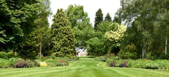 Servicios de jardinería